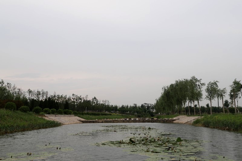 9、沙河记忆（3）.jpg